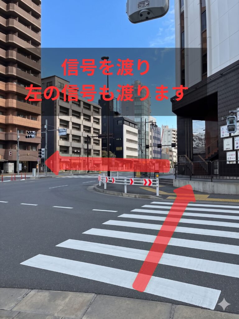 新大久保方面へ向かう途中の二つ目の横断歩道