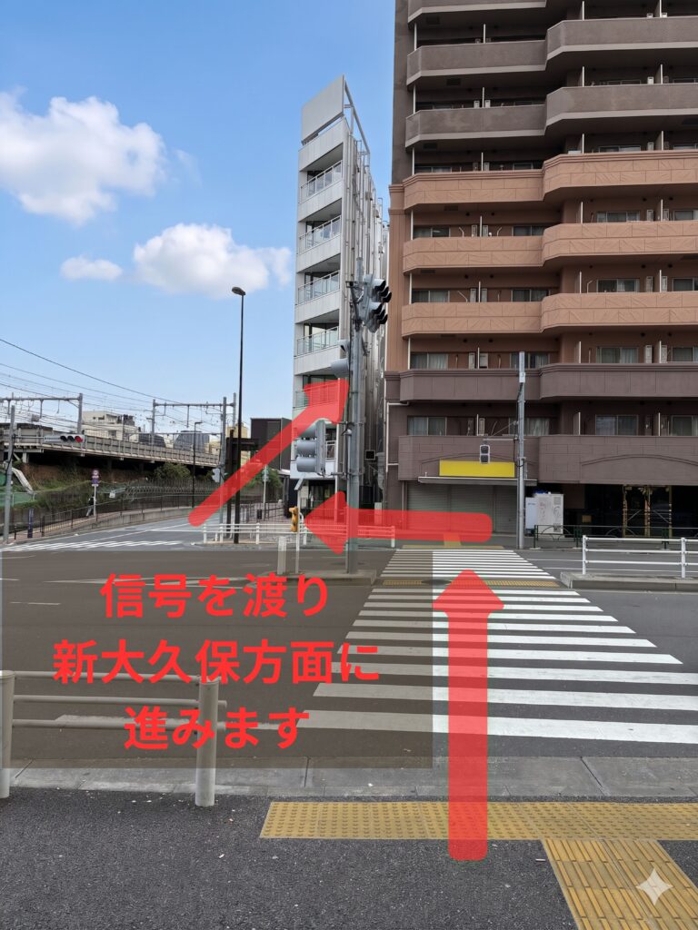 新大久保方面へ向かう途中の横断歩